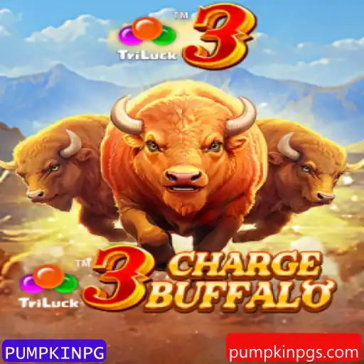 PUMPKINPG Promoção